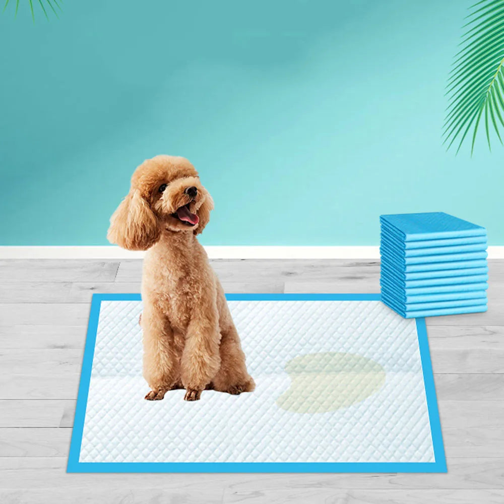 None Dog Litter Absorbent Disposable Diapers For Dogs And Cats