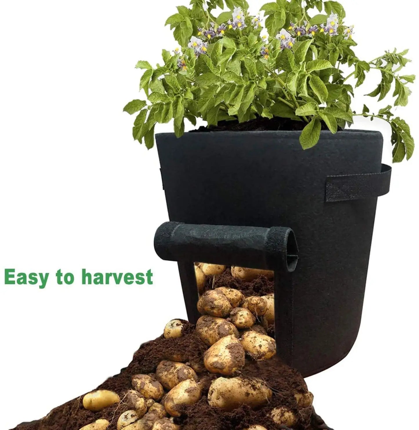Jianyana 3 Pack Potato Grow Bags With Handles For Vegetables And Tomatoes