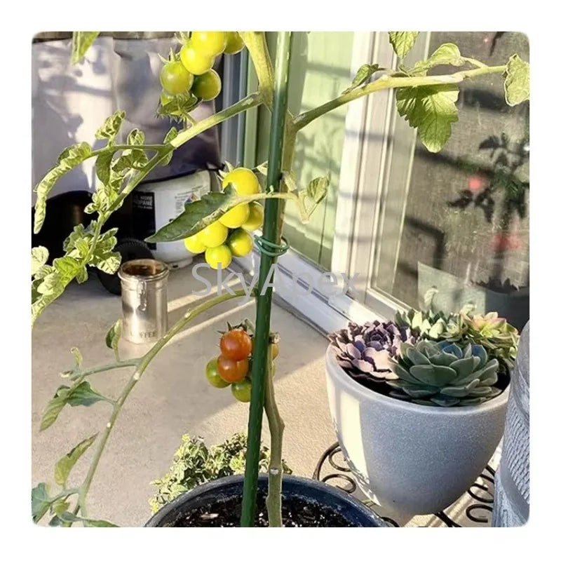 Plastic Coated Hollow Steel Plant Stakes For Climbing Plants