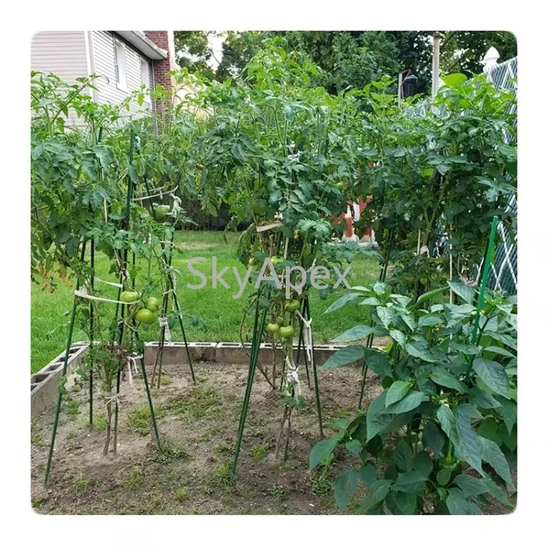 Plastic Coated Hollow Steel Plant Stakes For Climbing Plants