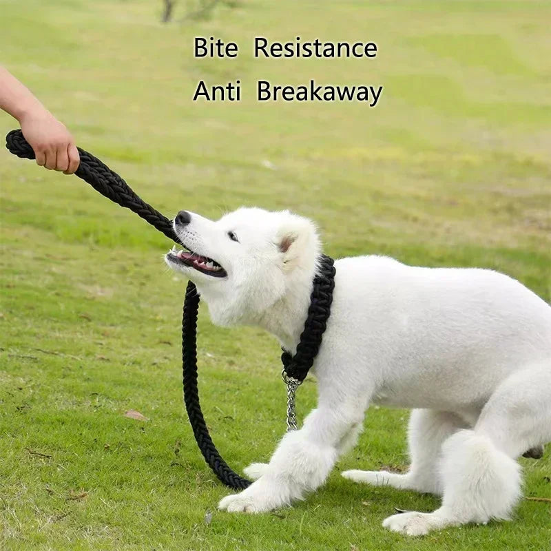 HATELICN Nylon Dog Harness Leash For Training And Walking