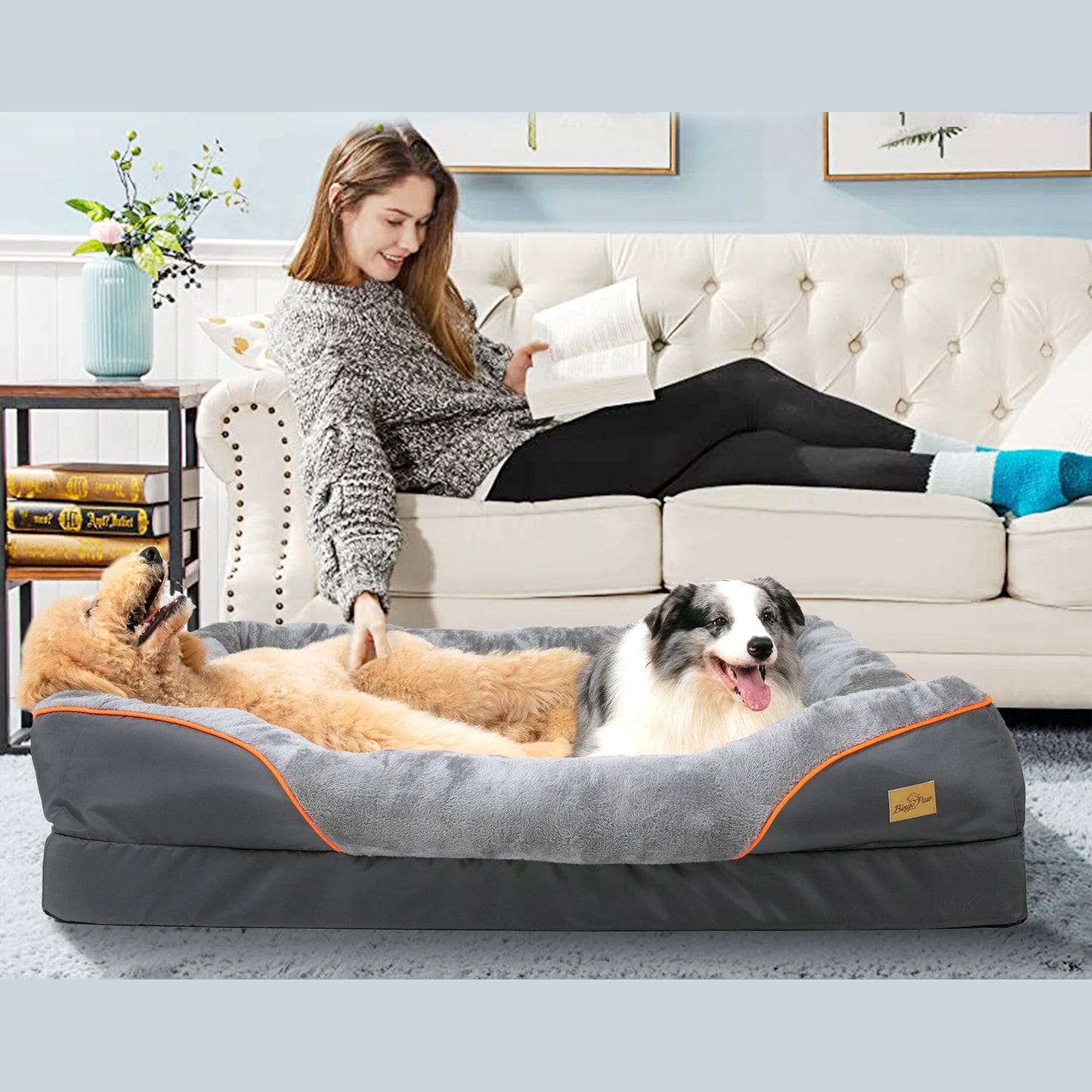 BINGOPAWCN Anti Allergy Dog Bed With Removable Waterproof Cover