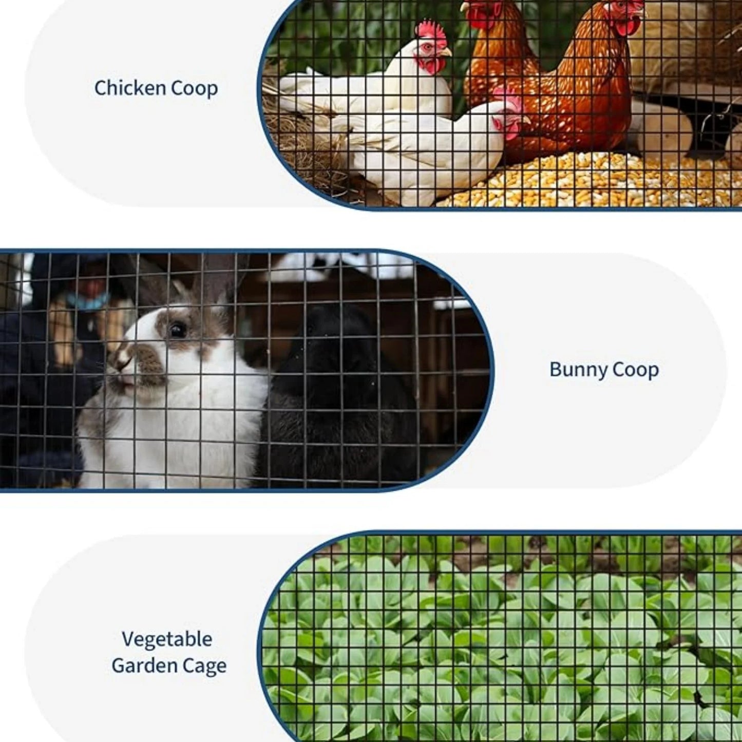 Galvanized Hardware Cloth Welded Wire Mesh For Poultry Fencing