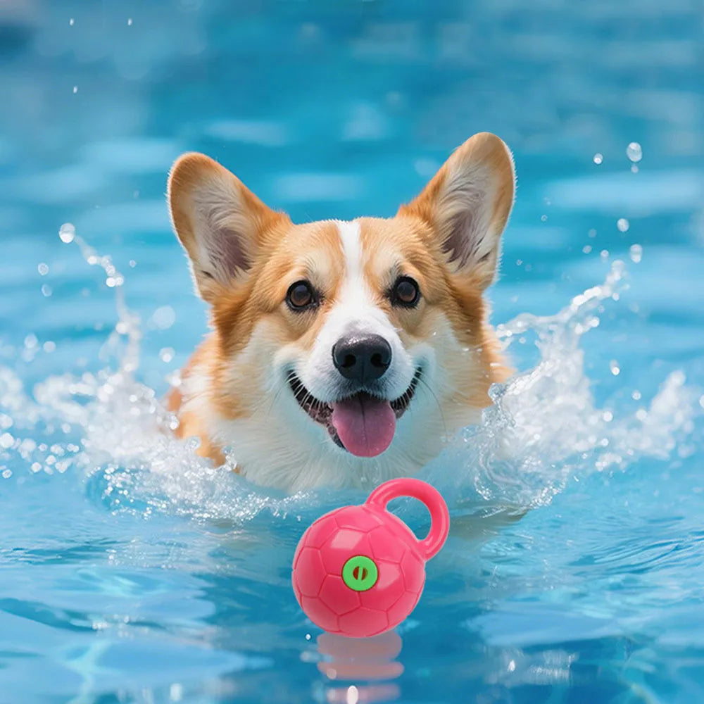 Pet Puppy Chew Toy - Squeaky Interactive Dog Toy for Teething, Durable Pet Supplies for Small to Medium Dogs