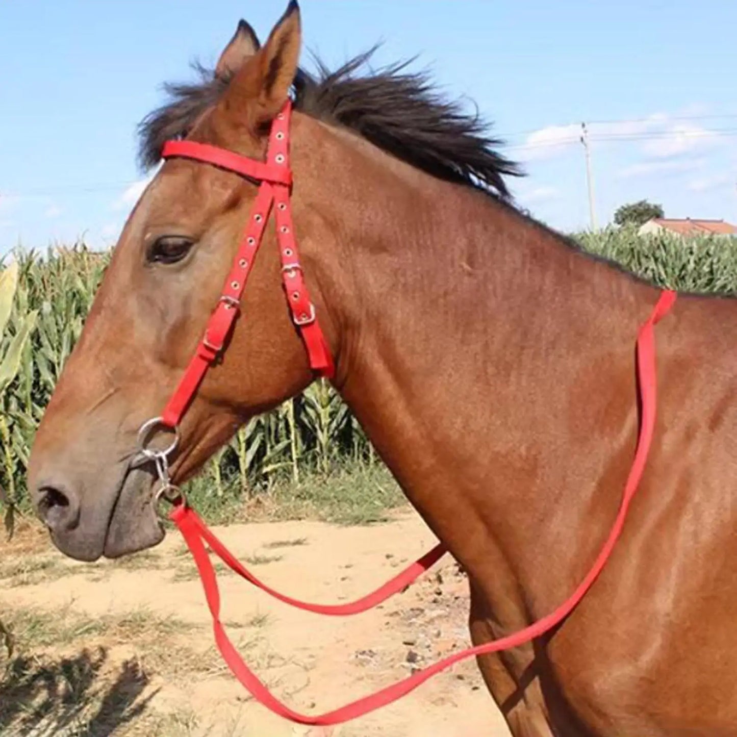 Cotton Weave Equestrian Rein Halter and Leading Rope for Horses