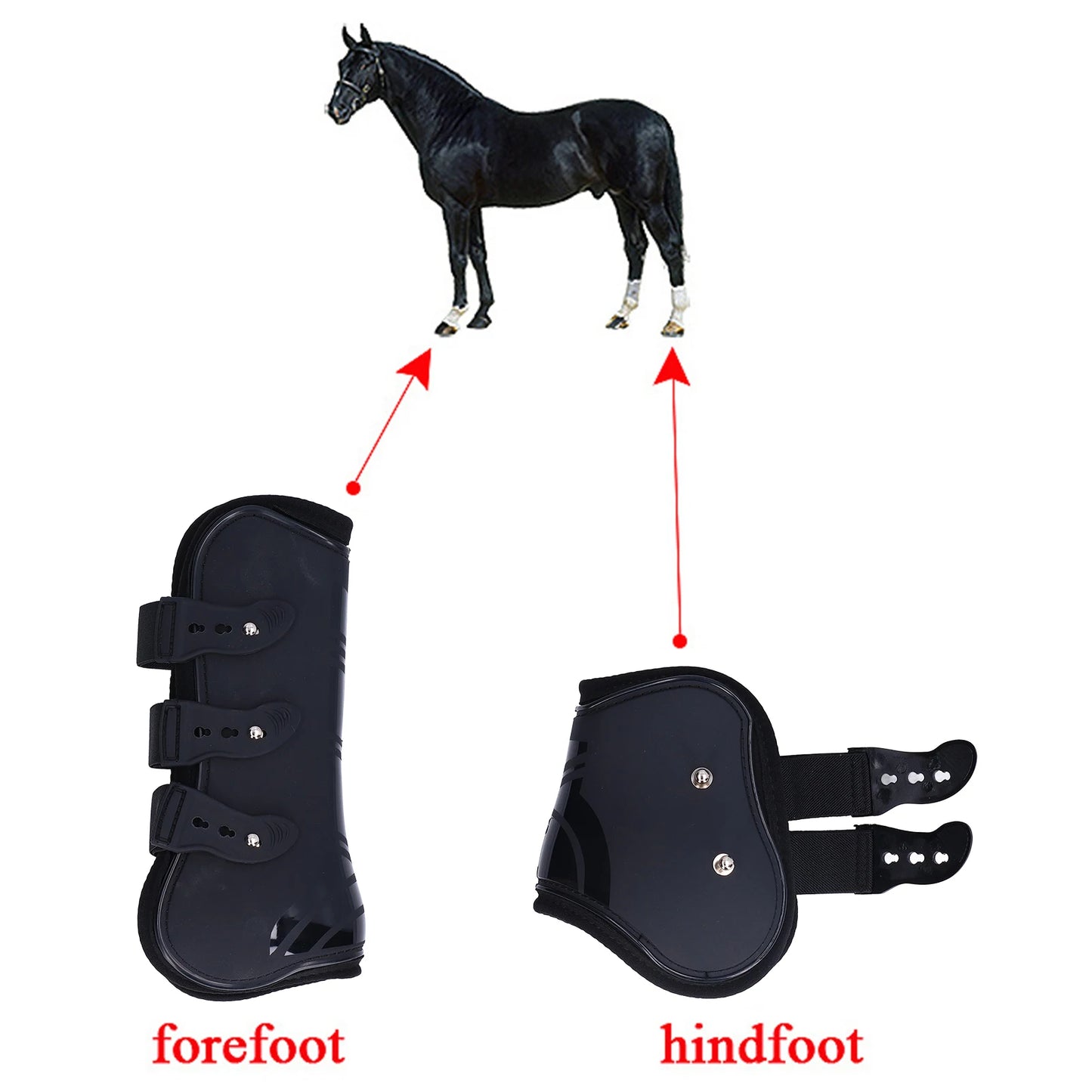 4 Pack PU Shell Tendon Guard Boots For Horses