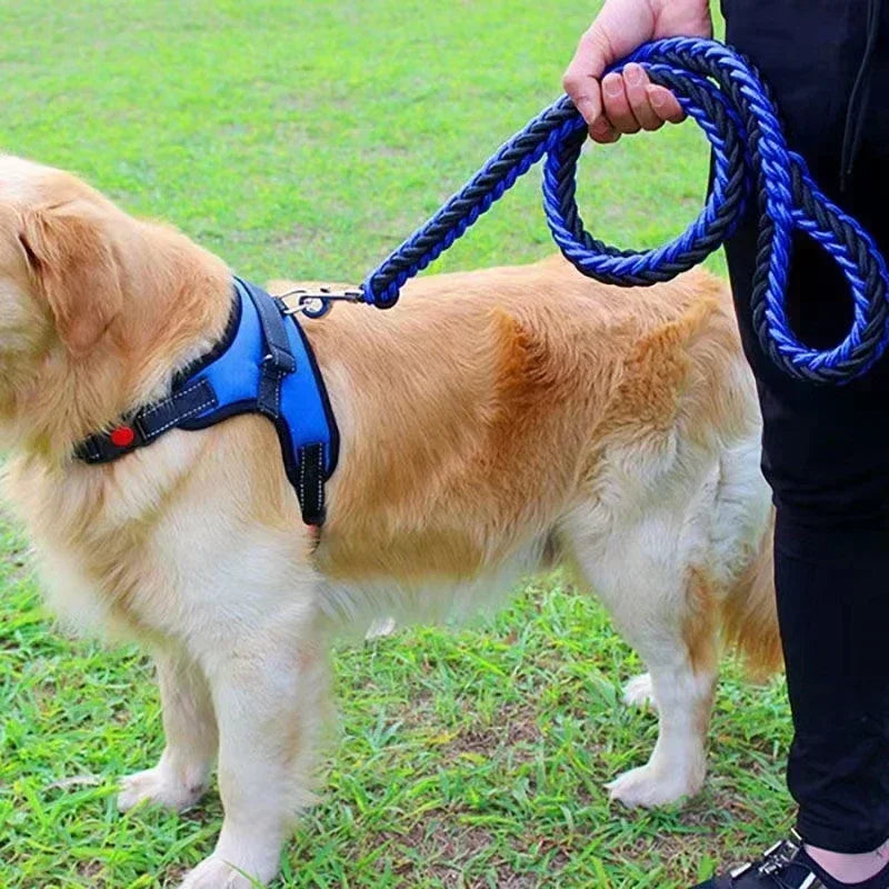 HATELICN Nylon Dog Harness Leash For Training And Walking