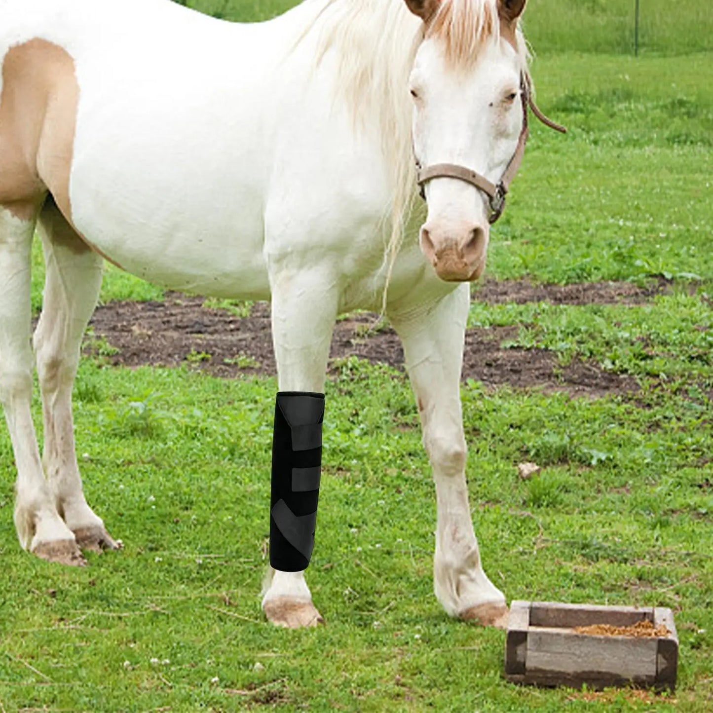 Equine Ice Boots Reusable Cooling Wrap for Horse Legs Ankles