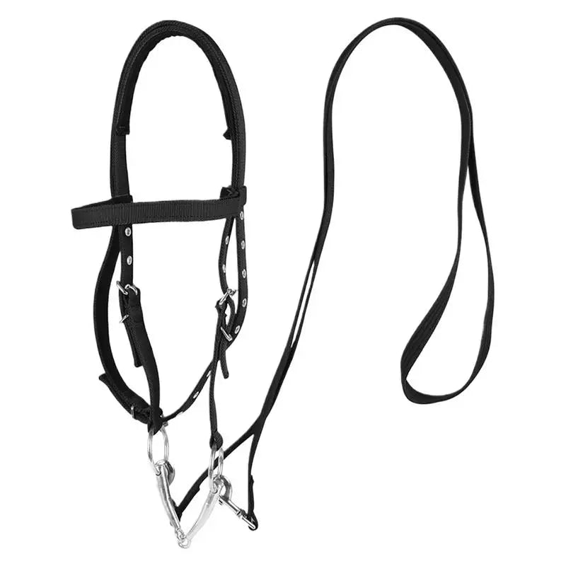 Adjustable Horse Halter And Lead Rope With 3 Buckles Throat Latch Equestrian