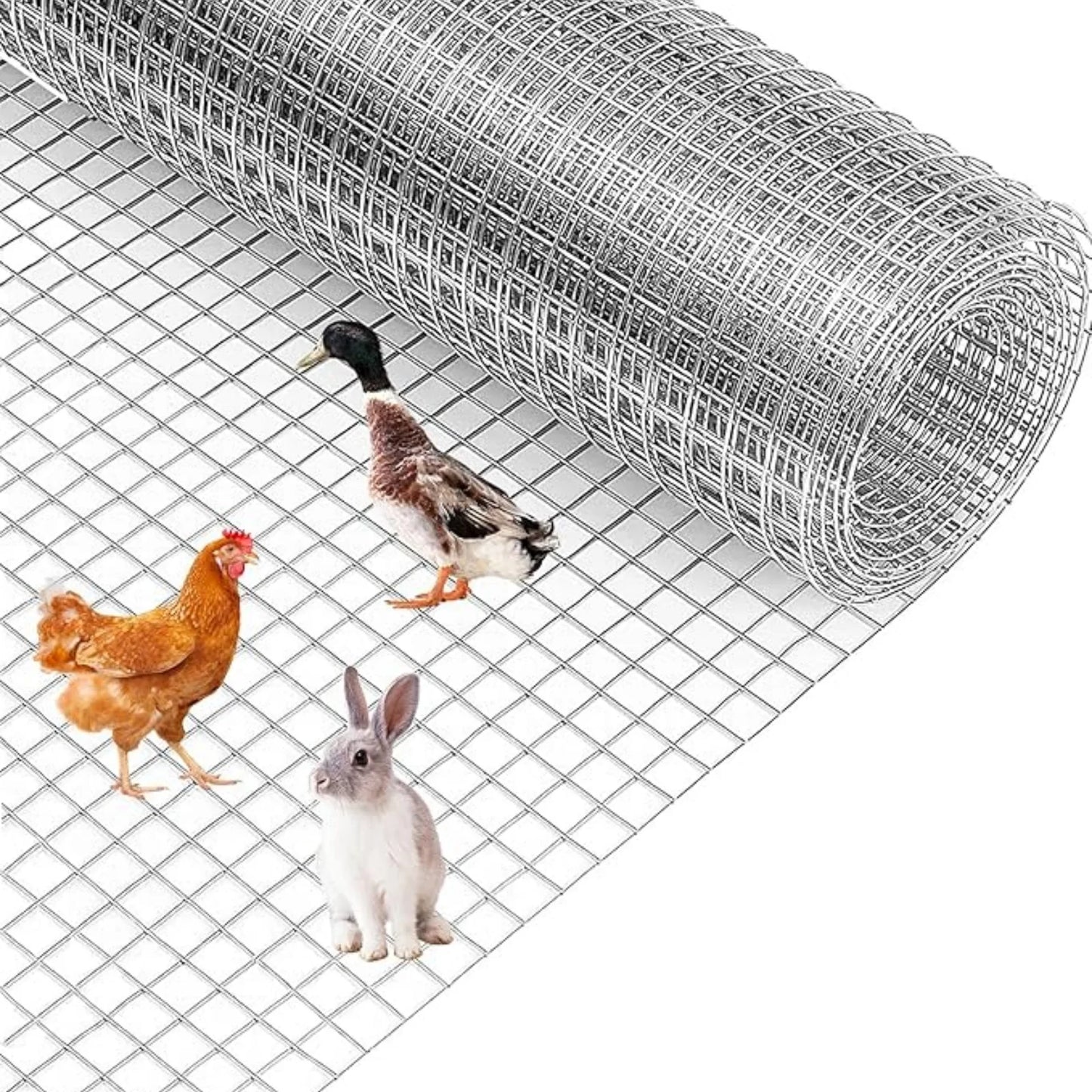 Galvanized Hardware Cloth Welded Wire Mesh For Poultry Fencing