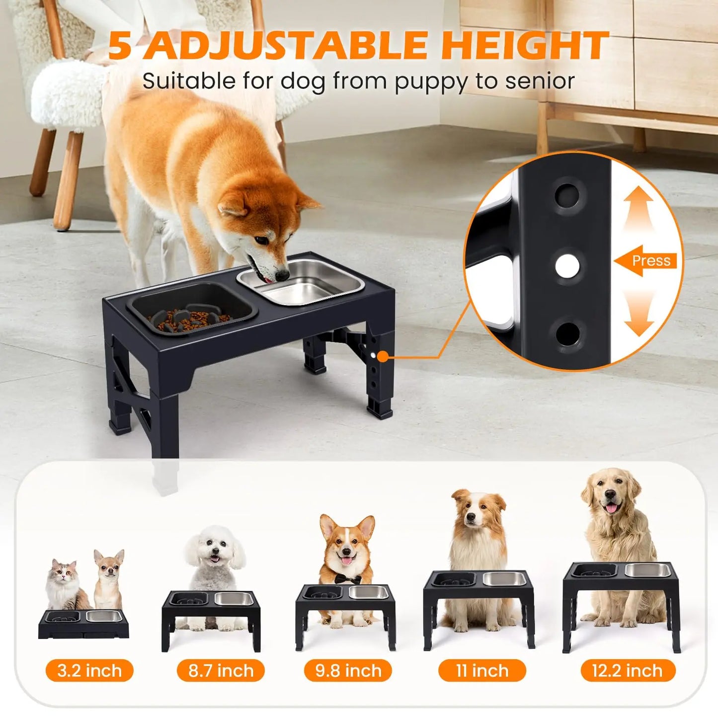 2in1 Elevated Slow Feeder Dog Bowls With Foldable Stand