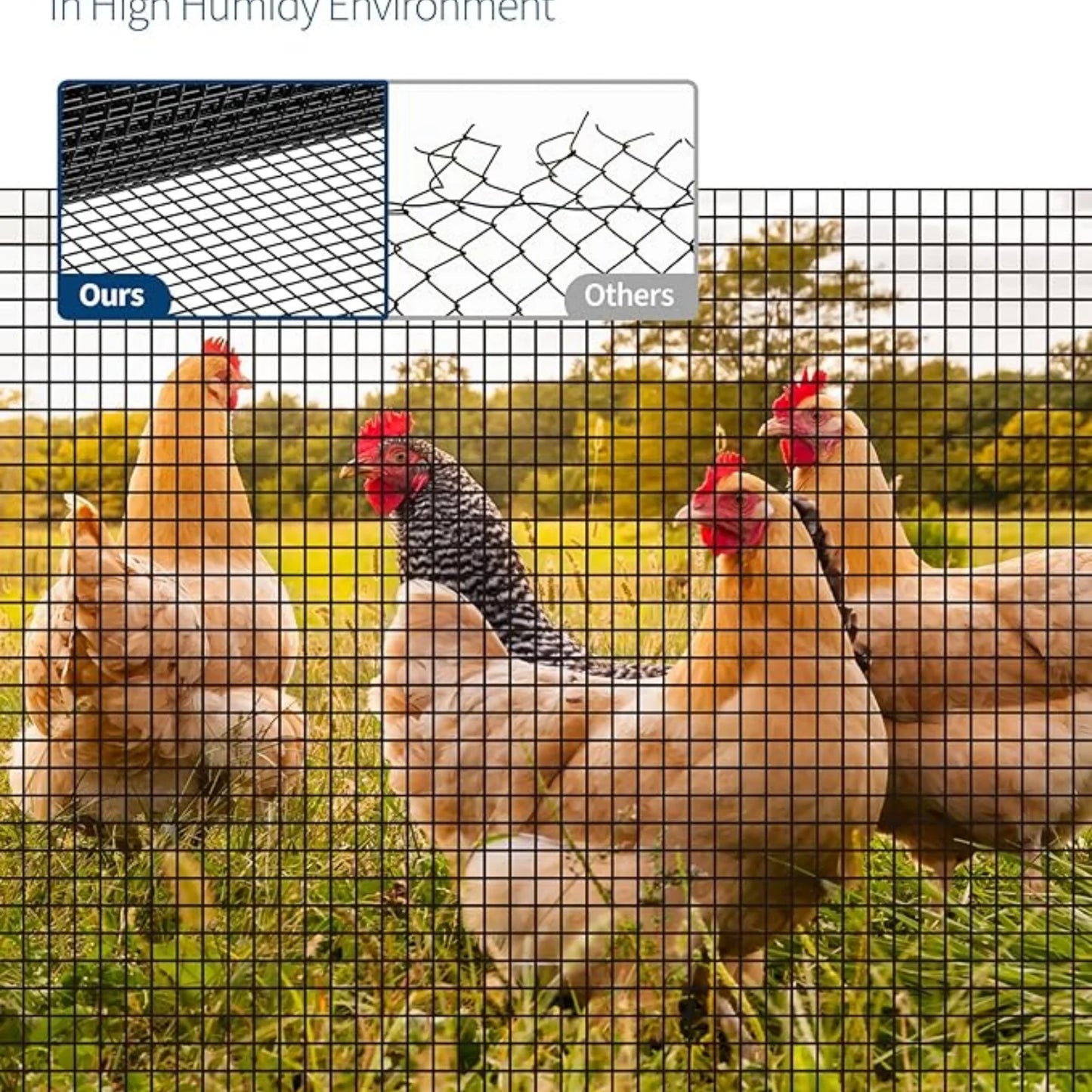Galvanized Hardware Cloth Welded Wire Mesh For Poultry Fencing