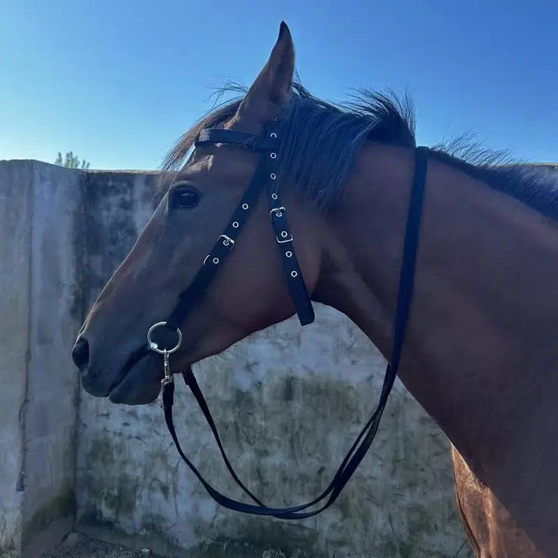 Adjustable Horse Halter And Lead Rope With 3 Buckles Throat Latch Equestrian