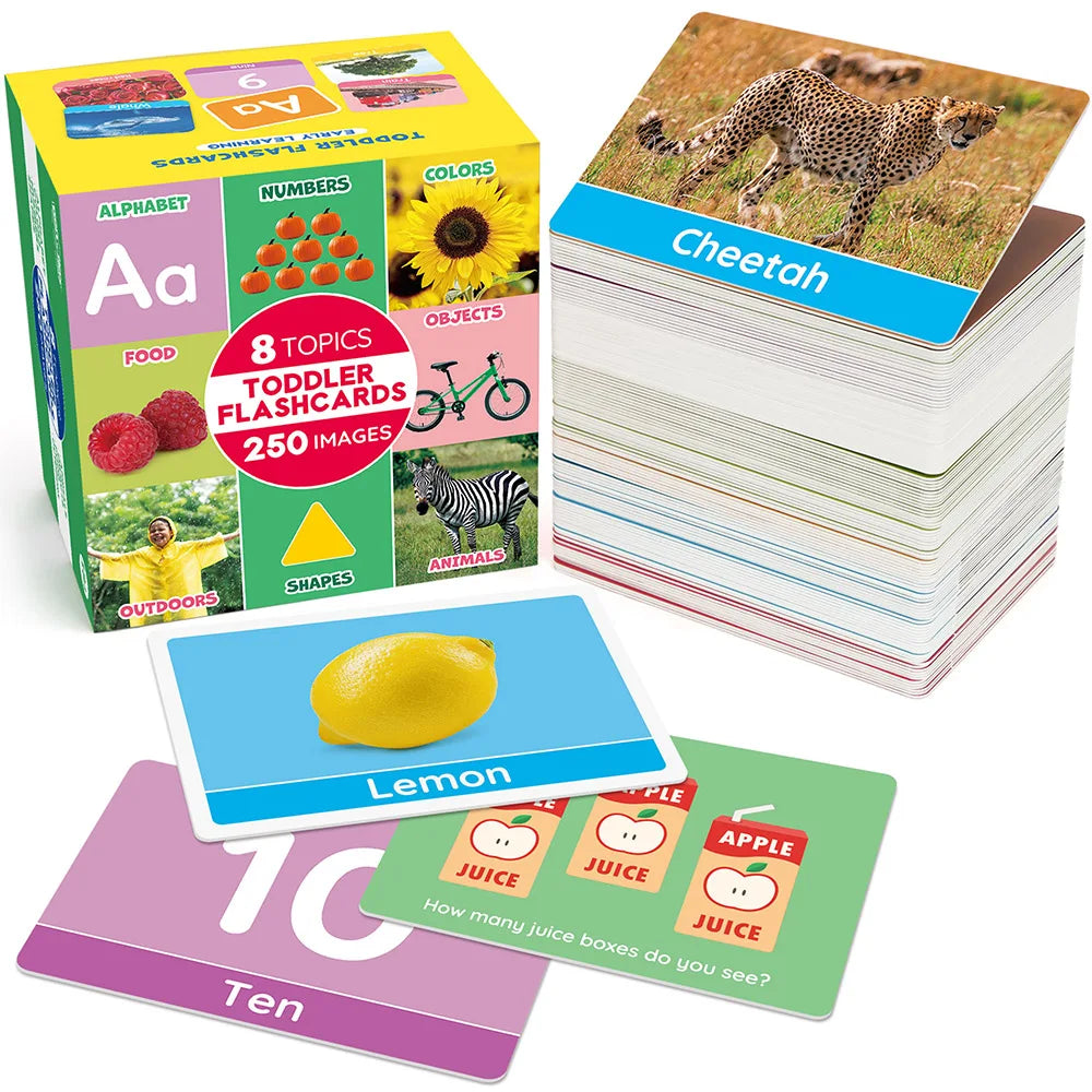 NONE Toddler Flash Cards Alphabet And Numbers Learning