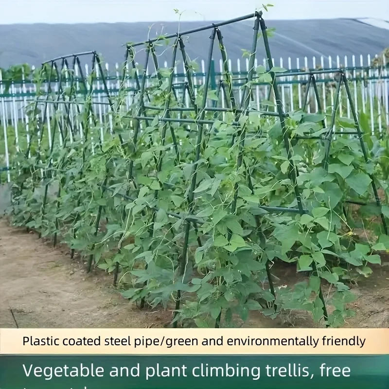Multi Purpose Metal Garden Stakes Durable Vegetable Support