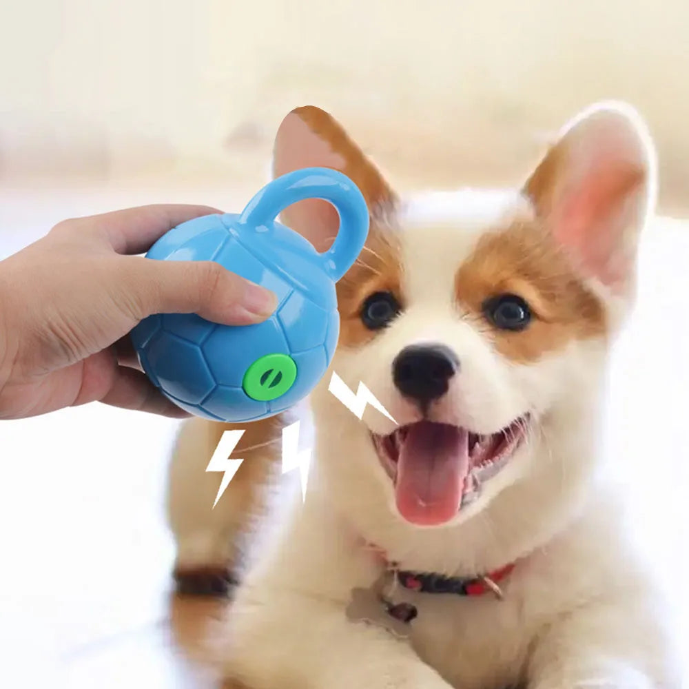 Pet Puppy Chew Toy - Squeaky Interactive Dog Toy for Teething, Durable Pet Supplies for Small to Medium Dogs