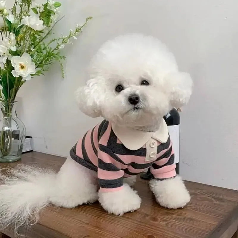 Cotton Summer Polo Shirt For Small And Medium Dogs