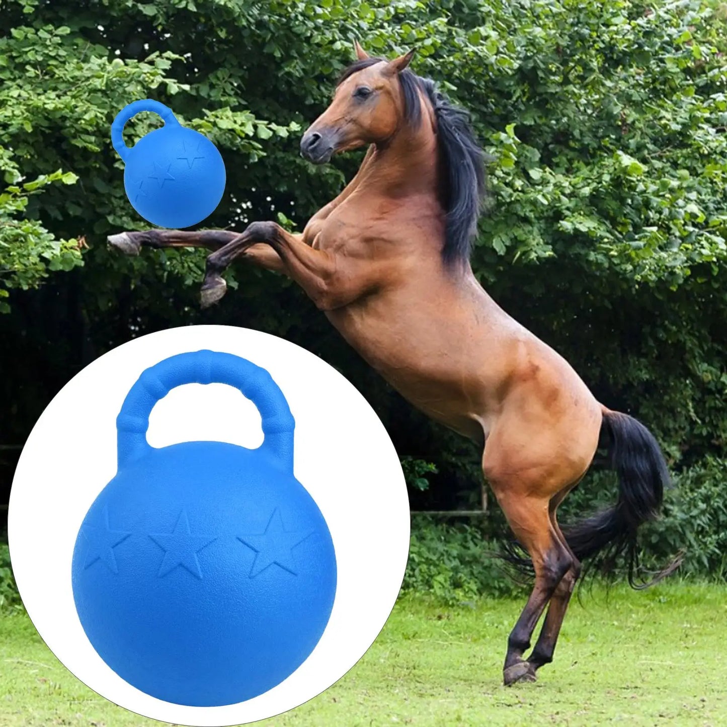 Horse Medium Purple Inches Swyivy 25cm Jt408BB Rubber Toy Heavy Duty Medium Large Dogs Play Toys Fruit Scented for Soccer