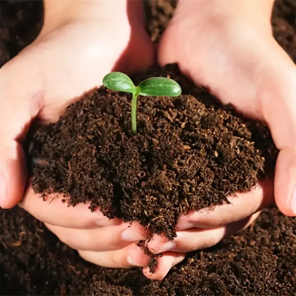 Natural Coconut Shell Fiber Bricks For Gardening Soil Regulator