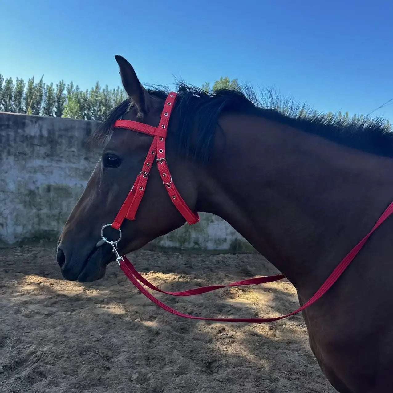 PU Leather Horse Bridle Set With Headstall Reins Bit Adjustable