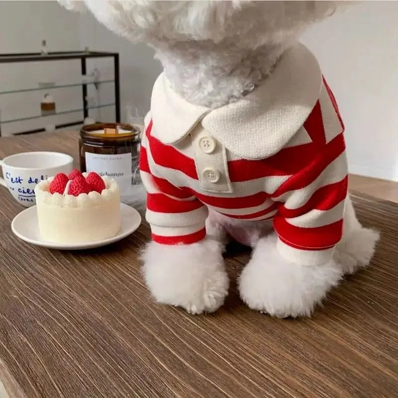 Cotton Summer Polo Shirt For Small And Medium Dogs