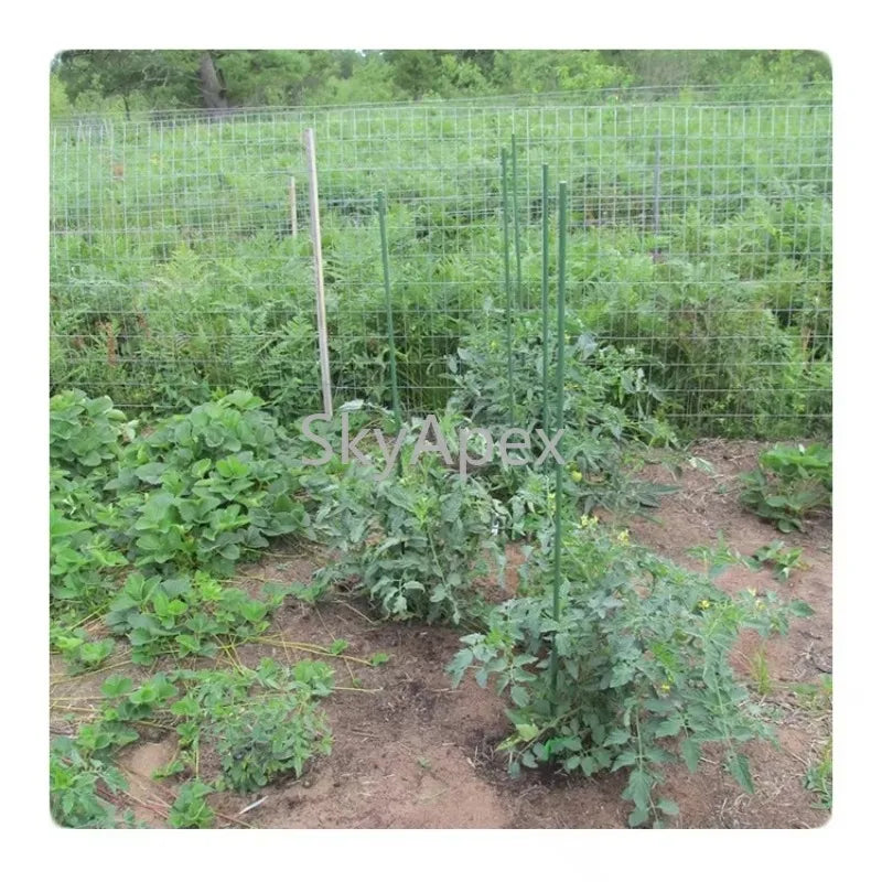 Plastic Coated Hollow Steel Plant Stakes For Climbing Plants