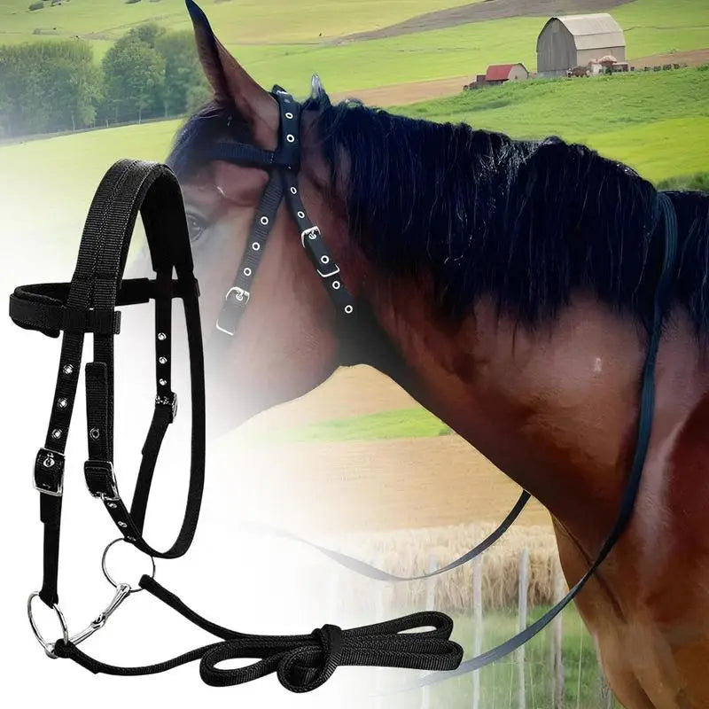 Adjustable Horse Halter And Lead Rope With 3 Buckles Throat Latch Equestrian