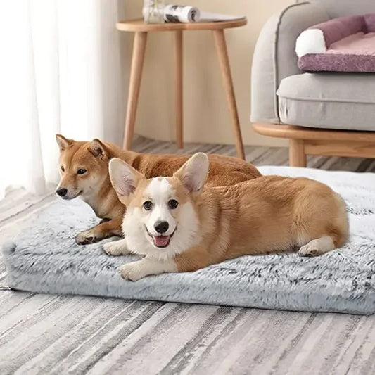 Detachable for Cleaning Small Dog Beds Ultra Soft Dog Beds Plush Dog Beds Cat Beds Suitable for Small Medium and Large Dog Beds
