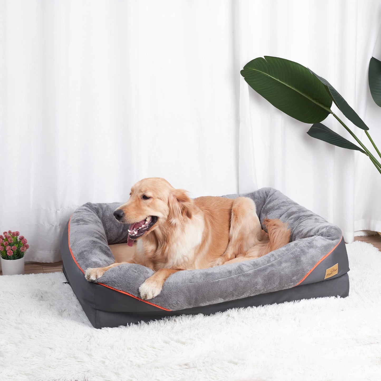 BINGOPAWCN Anti Allergy Dog Bed With Removable Waterproof Cover