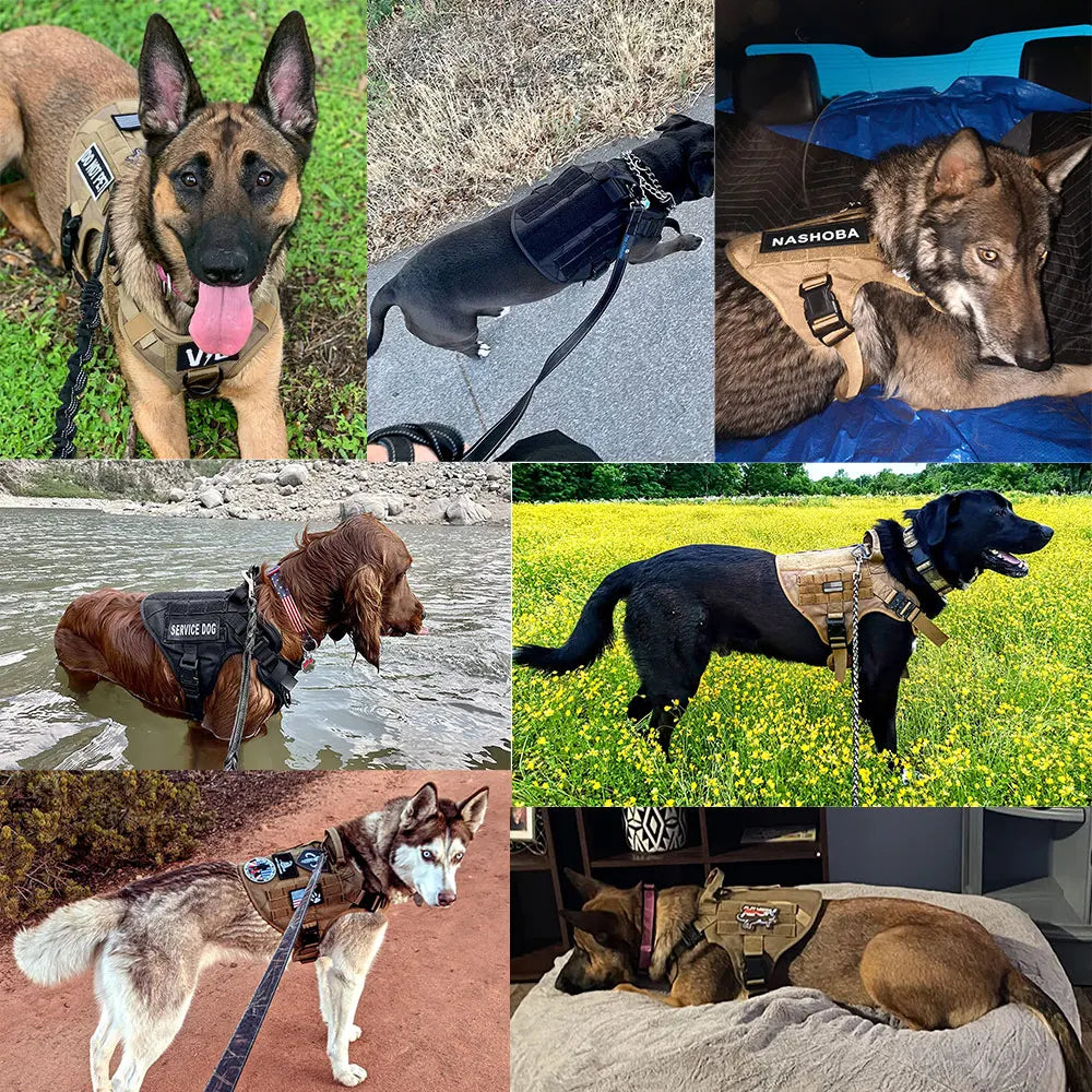 PETRAVELCN Durable Dog Harness And Leash Set Vest Harness Collar