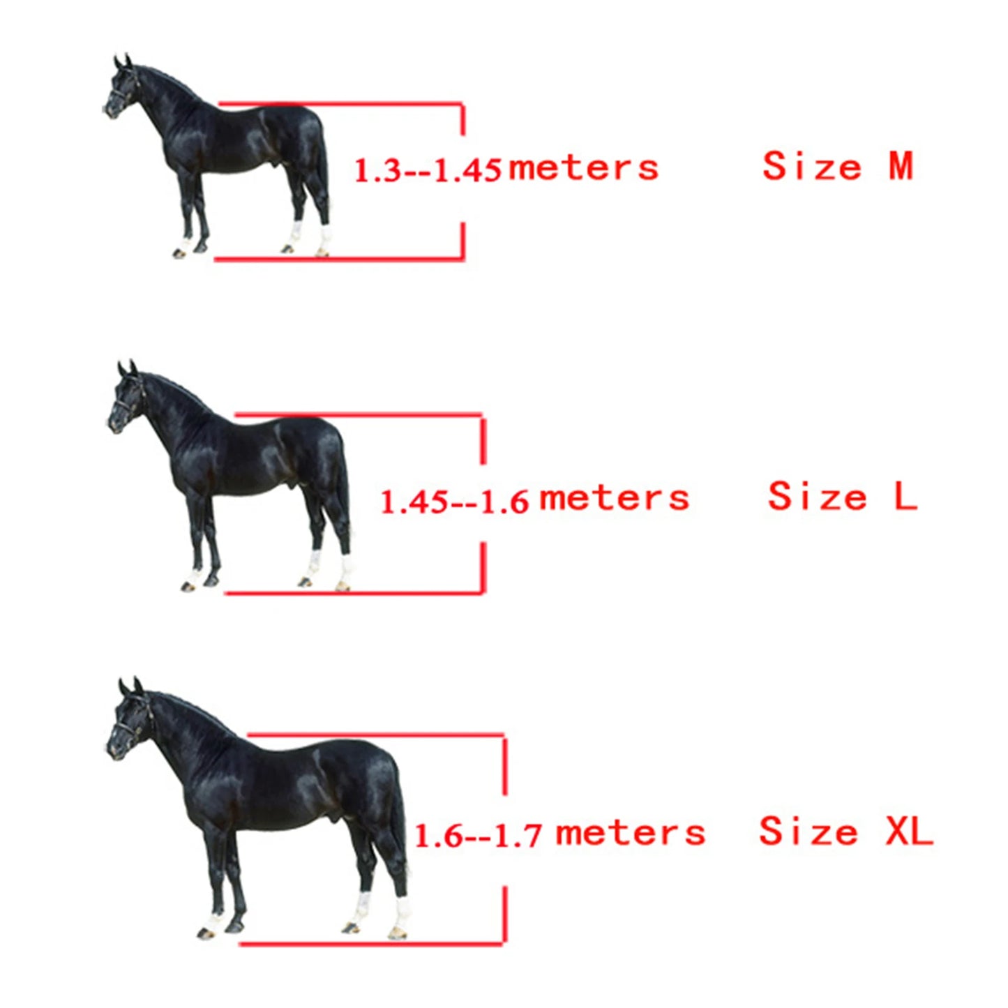 4 Pack PU Shell Tendon Guard Boots For Horses
