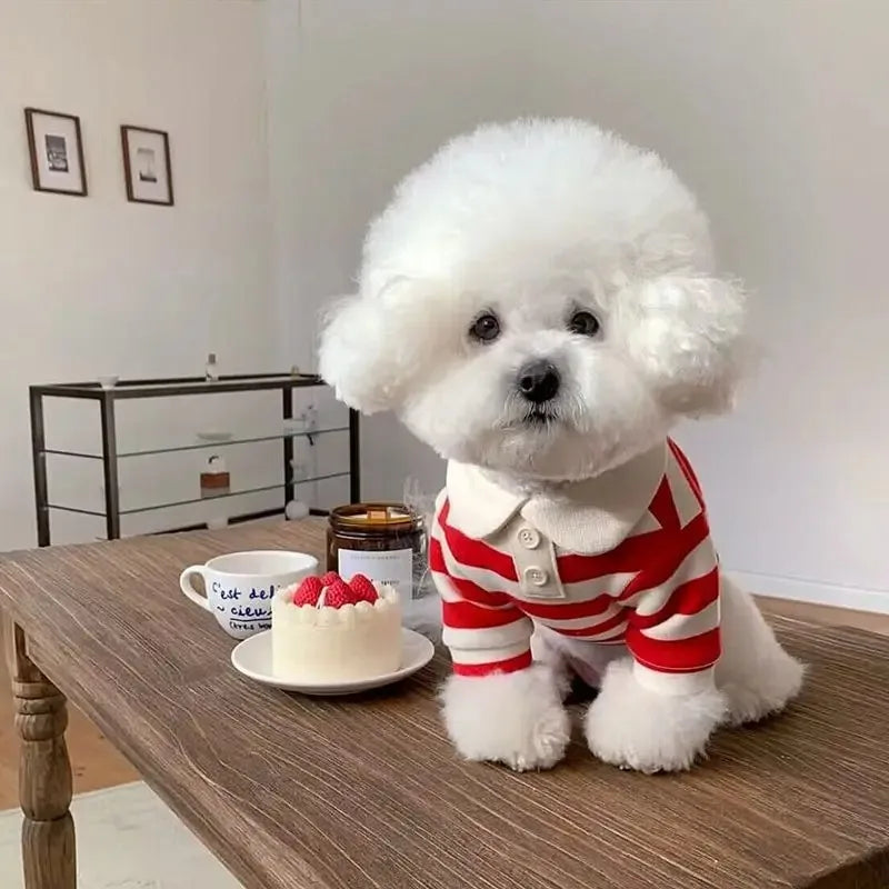 Cotton Summer Polo Shirt For Small And Medium Dogs