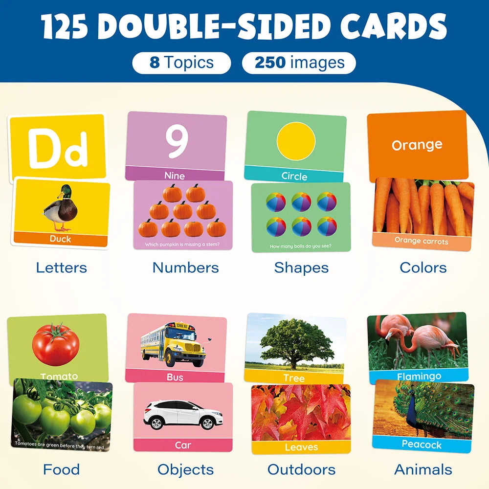 NONE Toddler Flash Cards Alphabet And Numbers Learning