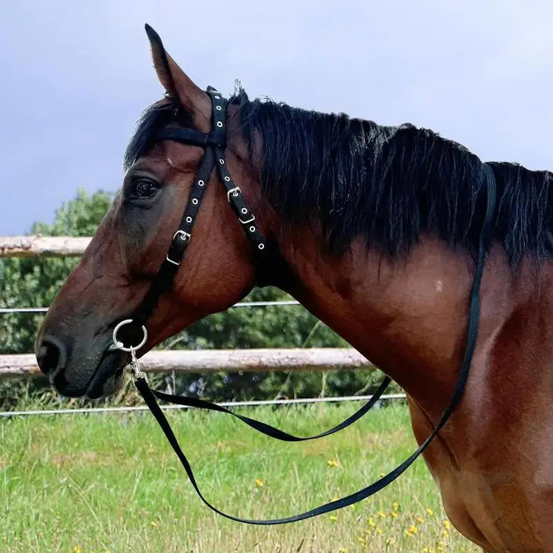 Adjustable Horse Halter And Lead Rope With 3 Buckles Throat Latch Equestrian