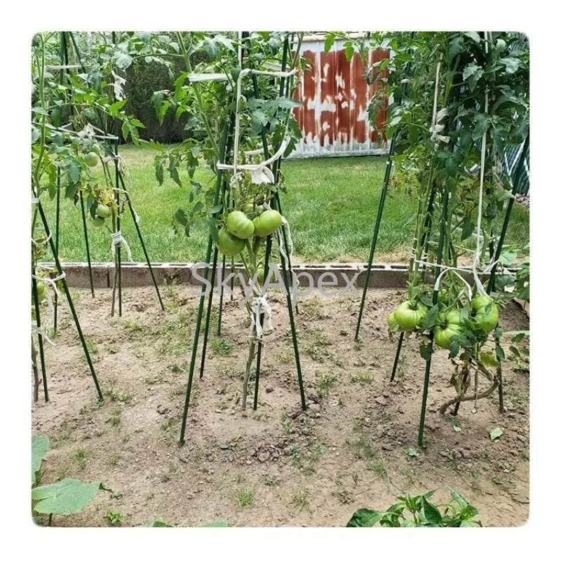 Plastic Coated Hollow Steel Plant Stakes For Climbing Plants