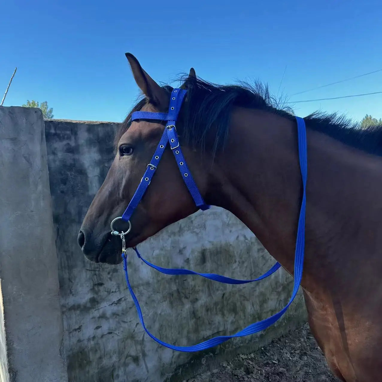 PU Leather Horse Bridle Set With Headstall Reins Bit Adjustable